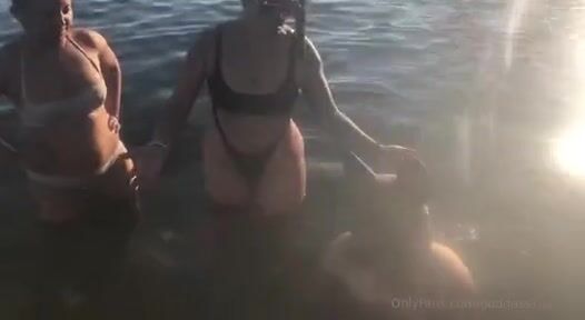 Köle köpek denizde